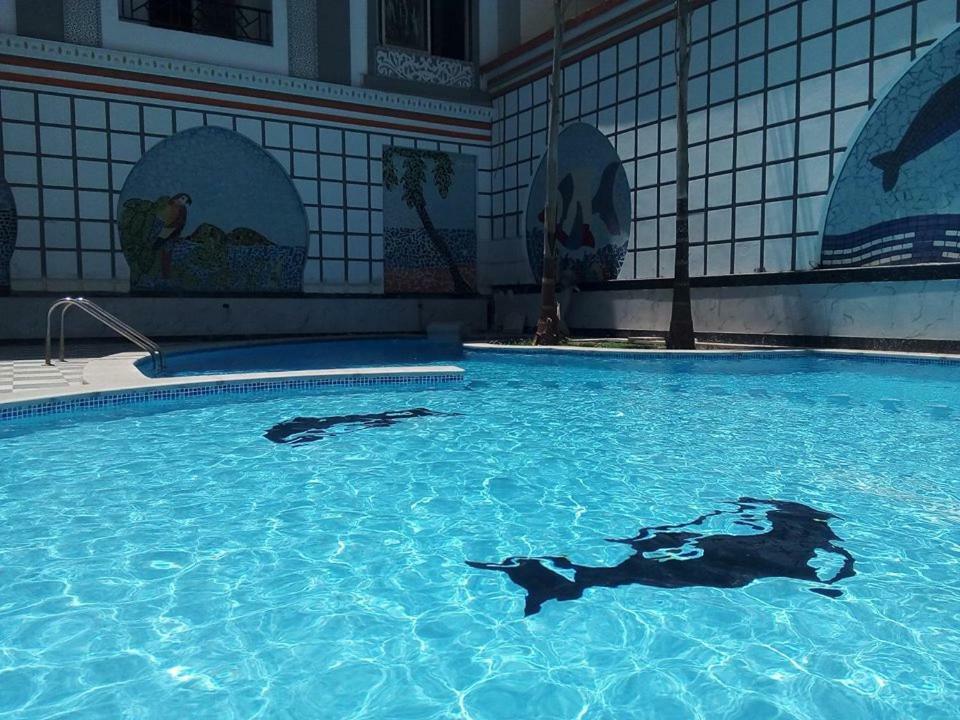 Exoticky Apartman フルガダ エクステリア 写真